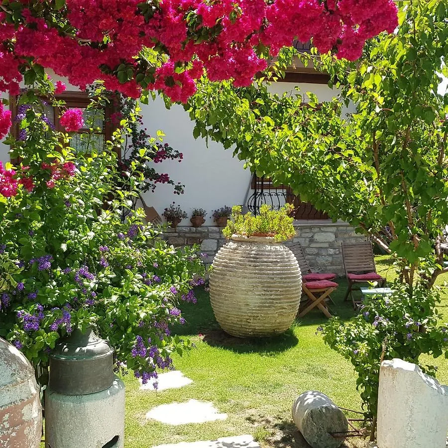 Sezgin Boutique Hotel Кушадасы Турция