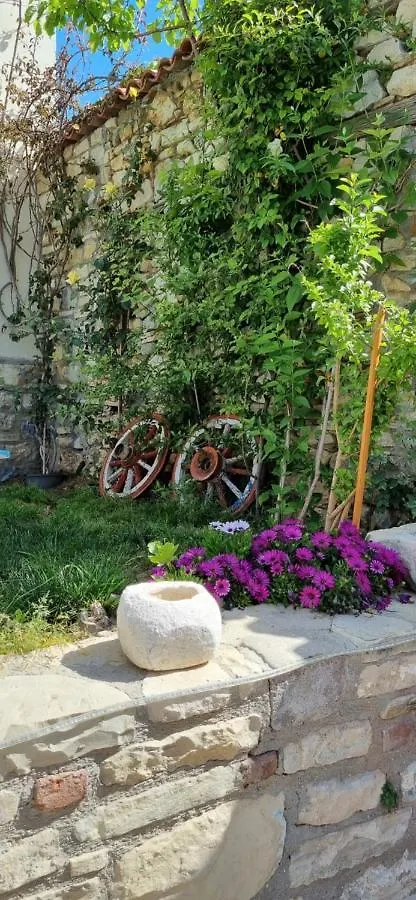 Sezgin Boutique Hotel Кушадасы 2*,  Турция